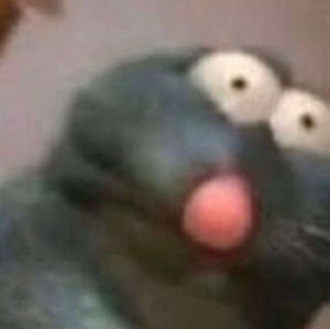 Meet your Posher, Piper